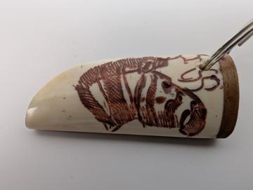 Zebra scrimshawed keychain made from wood and cow bone with curved edges